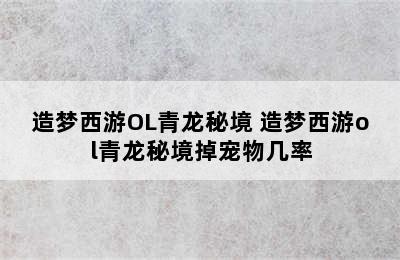 造梦西游OL青龙秘境 造梦西游ol青龙秘境掉宠物几率